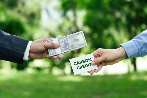 Carbon Offsetting: The Threat of Low-Quality Carbon Credits